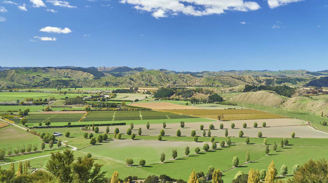 Craigmore makes further investment in Gisborne - Craigmore Sustainables