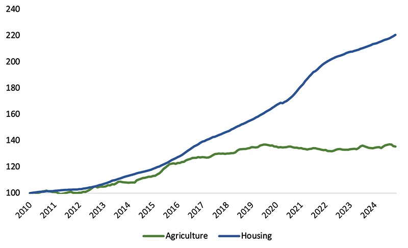 RBNZ graph Jan 2025