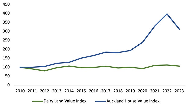 REINZ graph Jan 2025